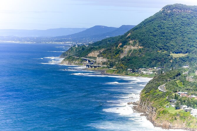 Sea Cliff Bridge, Kiama Blowhole, Beaches & Wildlife Small Group - Key points to know before booking