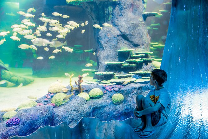 SEA LIFE Sydney Aquarium Entrance Ticket - How long to allow and when to visit