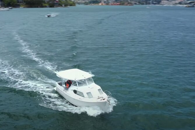 Self Drive Boat Hire Sydney Harbour (No license required) - Swimming, fishing, and a pet-friendly day out