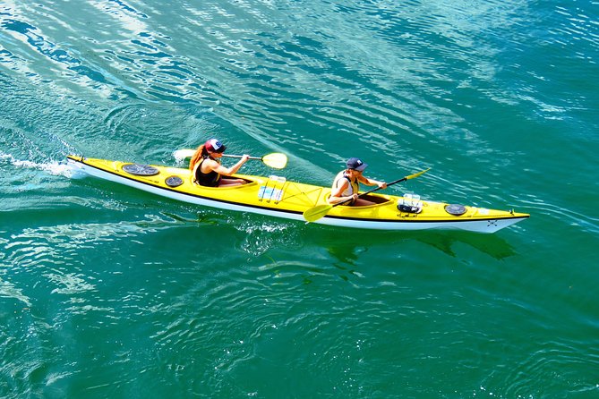 Self-Guided Sydney Middle Harbour Kayak 3 Hour Tour by Double Kayak - Key points to know before you book