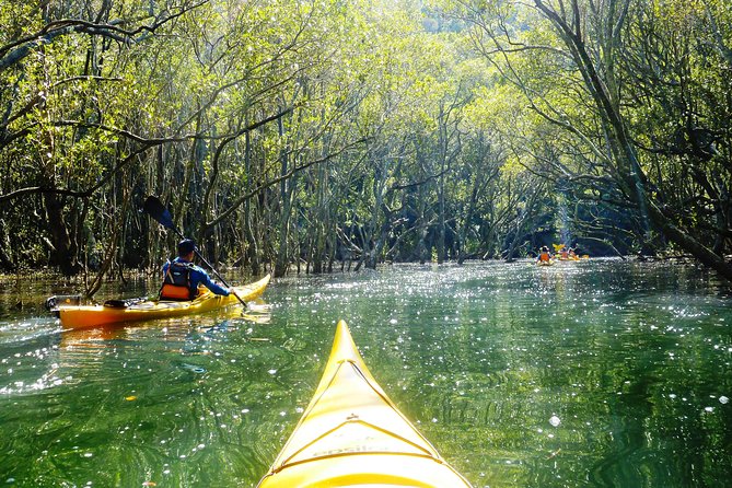 Self-Guided Sydney Middle Harbour Kayak 3 Hour Tour by Double Kayak - What the water-level view gives you