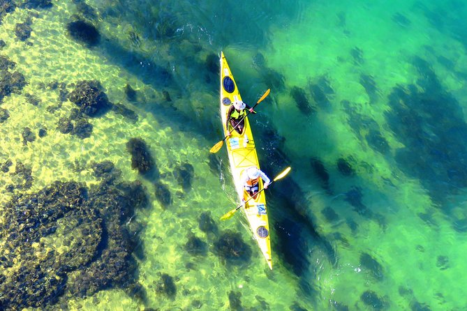 Self-Guided Sydney Middle Harbour Kayak 3 Hour Tour by Double Kayak - Getting comfortable in the double sea kayak