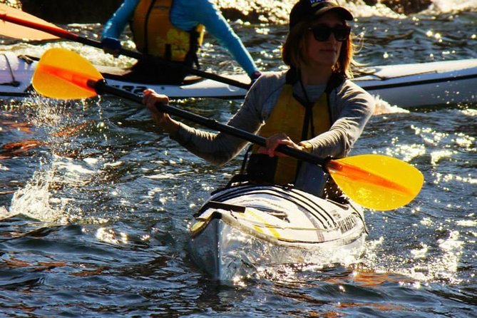 Self-Guided Sydney Middle Harbour Kayak 3 Hour Tour by Single Kayak - Why Middle Harbour is a fine place to paddle