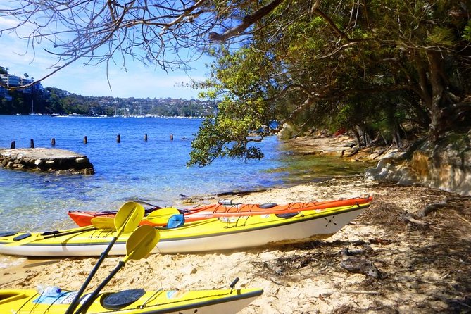 Self-Guided Sydney Middle Harbour Kayak 3 Hour Tour by Single Kayak - The equipment earns its place