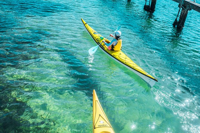 Self-Guided Sydney Middle Harbour Kayak 3 Hour Tour by Single Kayak - Starting at Sydney Harbour Kayaks in Mosman