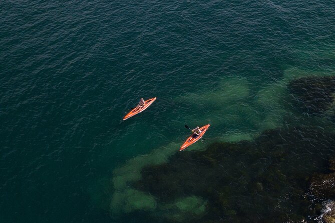 Single Kayak Hire - 4 Hours - Choosing a route to Quarantine Beach and Store Beach