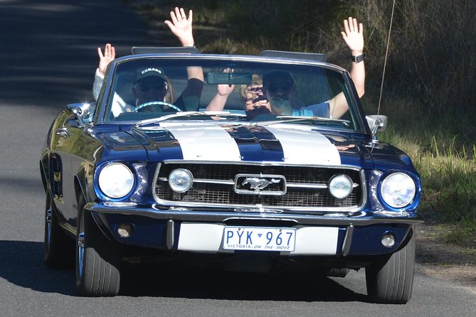 Six-Bridges-of-Sydney-Vintage-Car-Ride-Experience - The Lane Cove Tunnel turns engine noise into part of the ride