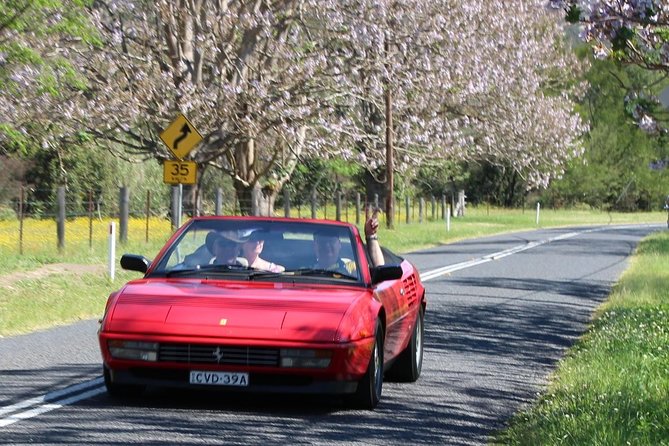 Six-Bridges-of-Sydney-Vintage-Car-Ride-Experience - What the one-hour timing really means