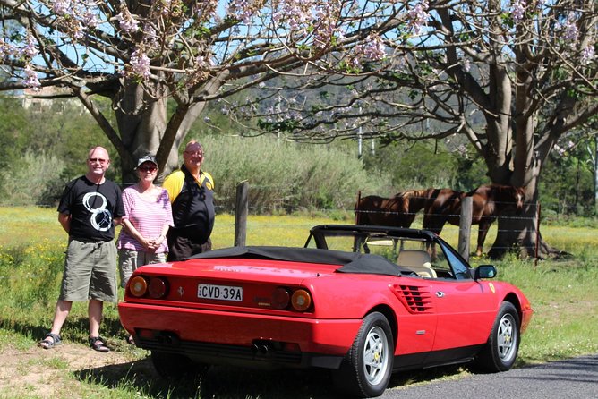 Six-Bridges-of-Sydney-Vintage-Car-Ride-Experience - Who will get the most from this private ride