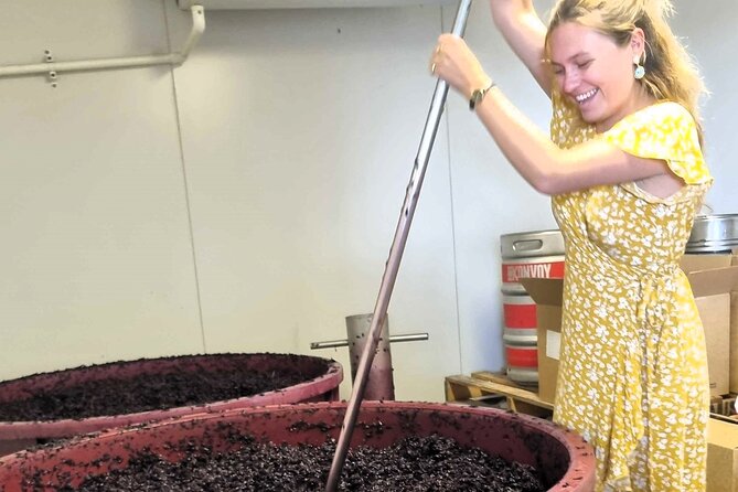 Small Group Hunter Valley Wine Tour + Lunch, Gin & Choc ex Sydney - Why this Hunter Valley day trip works