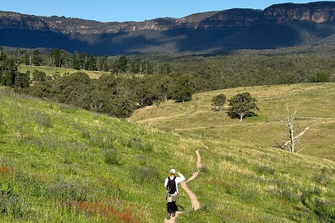 Small Group Hunter Valley Wine Tour + Lunch, Gin & Choc ex Sydney - What $161.38 really buys you