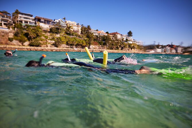Small Group Manly Snorkel Tour and Nature Walk with Local Guide - Why the equipment and guide add value at $78.18