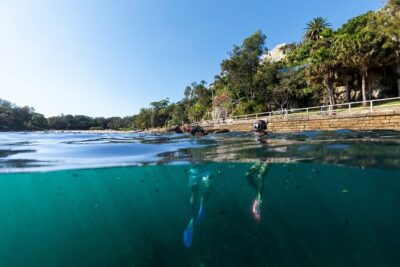 Small Group Manly Snorkel Tour and Nature Walk with Local Guide