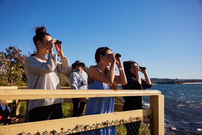 Small Group Manly Snorkel Tour and Nature Walk with Local Guide - Is the Manly snorkel tour worth booking?