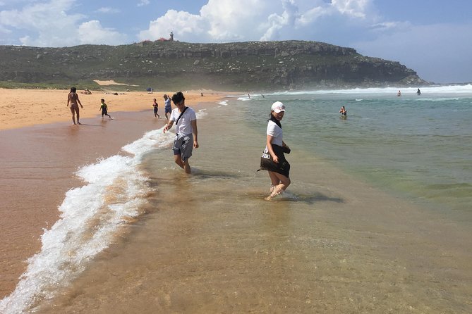 Small-Group Sydney's Northern Beaches & Ku-ring-gai Park Tour - Palm Beach, Barrenjoey Headland, and Home and Away