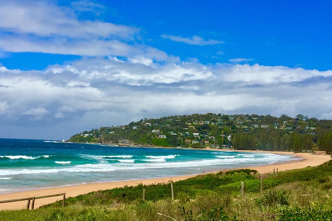 Small-Group Sydney's Northern Beaches & Ku-ring-gai Park Tour - Long Reef Point and the Northern Beaches coast