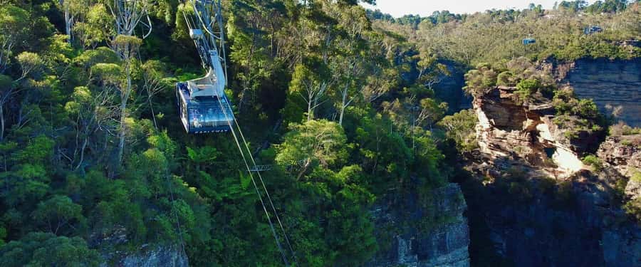Small Group: Zoo, Blue Mountains, Scenic World Mandarin Tour - Guide language, group size, and timing