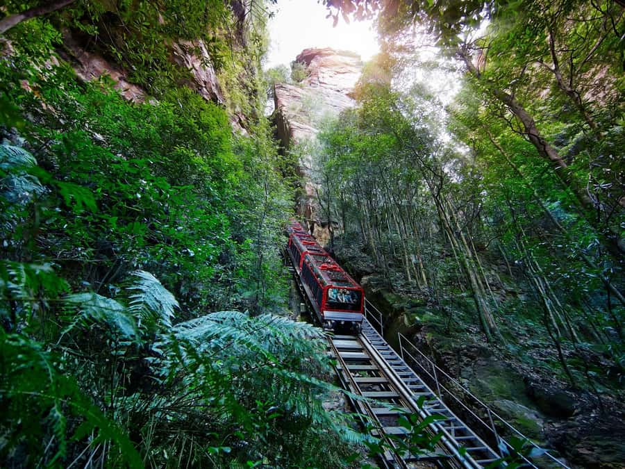 Small Group: Zoo, Blue Mountains, Scenic World Mandarin Tour - What to bring and who will enjoy it