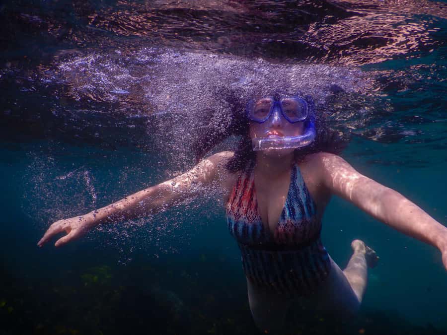 Snorkel Sydney’s Stunning Marine Reserve on a Private Tour - Why this small marine reserve makes a good Sydney outing