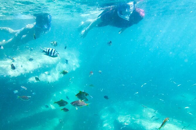 Snorkeling Adventure for Kids with Private Guide In Sydney - Who should book this Clovelly experience?