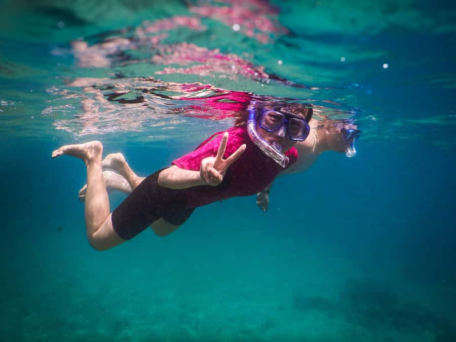 Snorkeling Tour: Discover Sydney’s impressive sea life - One hour around reef, rocks, and fish