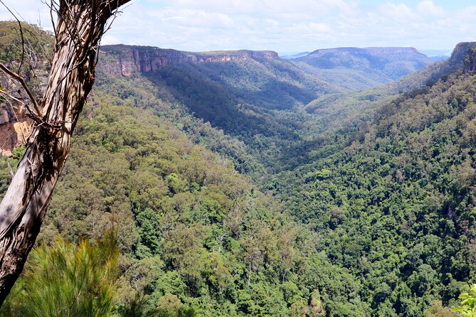 Southern Highlands Private Tour with Wine, Waterfall and Garden - Bendooley Estate finishes with cool-climate wine