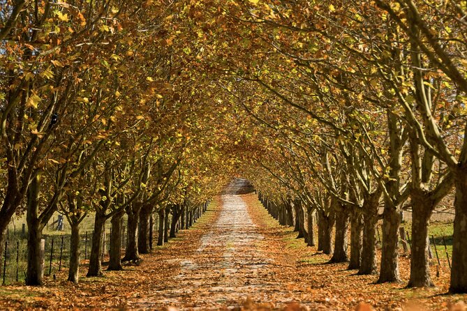 Southern Highlands Private Tour with Wine, Waterfall and Garden - Bowral begins the day with country-town charm