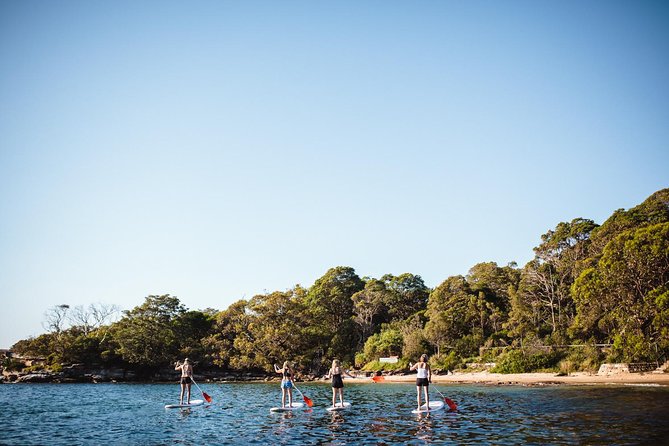 Stand Up Paddle Board Hire - 2 Hours - Why staff support makes a difference