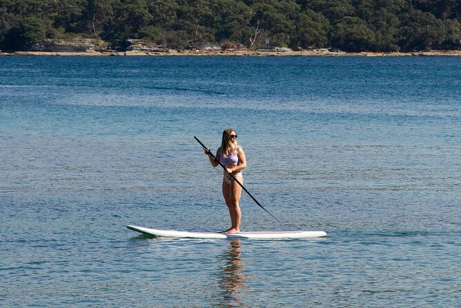 Stand Up Paddle Board Hire - 2 Hours - Two hours around North Harbour