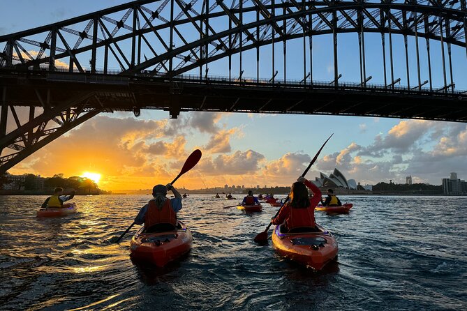Sunrise Paddle Session on Syndey Harbour (single kayak) - Key points to know before booking