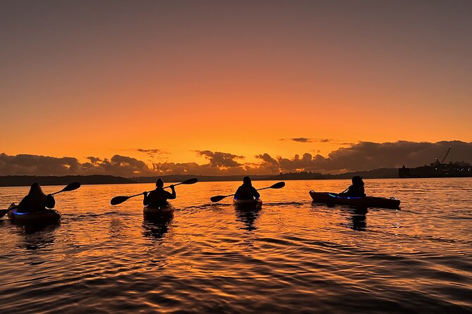 Sunrise Paddle Session on Syndey Harbour (single kayak) - Neutral Bay and Luna Park by water