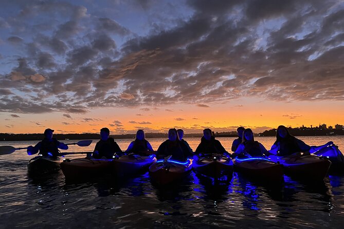 Sunrise Paddle Session on Syndey Harbour (single kayak) - What the safety support adds