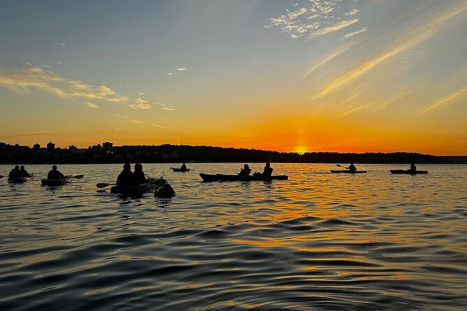 Sunrise Serenity Kayak Tour of Sydney Harbour - Who will enjoy this Sydney sunrise tour
