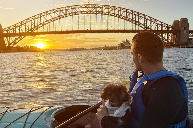Sunrise Serenity Kayak Tour of Sydney Harbour - Seeing the Opera House from a kayak