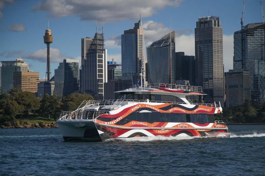 Sydney: 2-hour Express Whale Watching Cruise - Is $63 good value for two hours?
