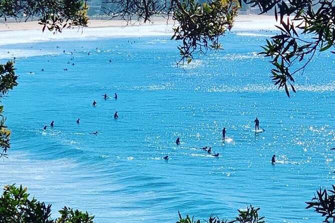 Sydney 6 Hour Private Tour - Optional routes for art, food, and Ku-Ring-Gai