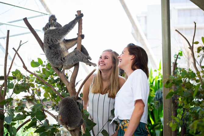 Sydney Attractions Pass: SEA LIFE Aquarium, Sydney Tower Eye, WILD LIFE Zoo and Madame Tussauds - Four Sydney sights, one compact plan
