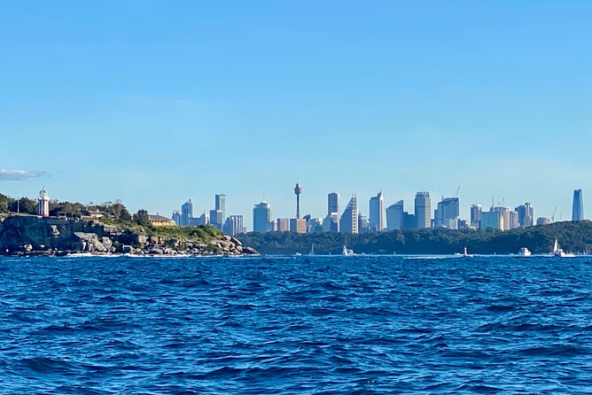 Sydney Beaches Half Day Drive and Walk Tour - Who will get the most from this half-day tour