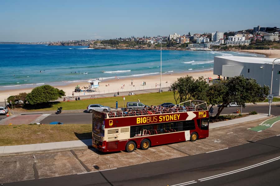 Sydney: Big Bus Hop-On Hop-Off Tour with Optional Cruise - Key points before you book