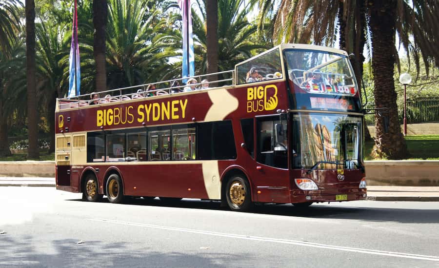 Sydney: Big Bus Hop-On Hop-Off Tour with Optional Cruise - The Captain Cook harbour cruise is worth considering