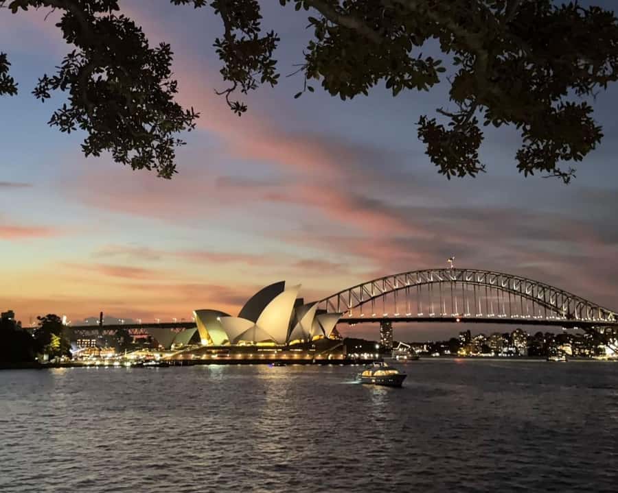 Sydney: Big Bus Panoramic Night Tour by Open-Top Bus - St. Mary’s Cathedral and the ANZAC War Memorial