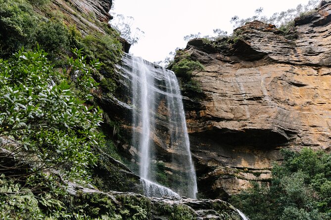 Sydney Blue Mountains Day Tour with Wildlife Park and Waterfalls - Key points to know before booking