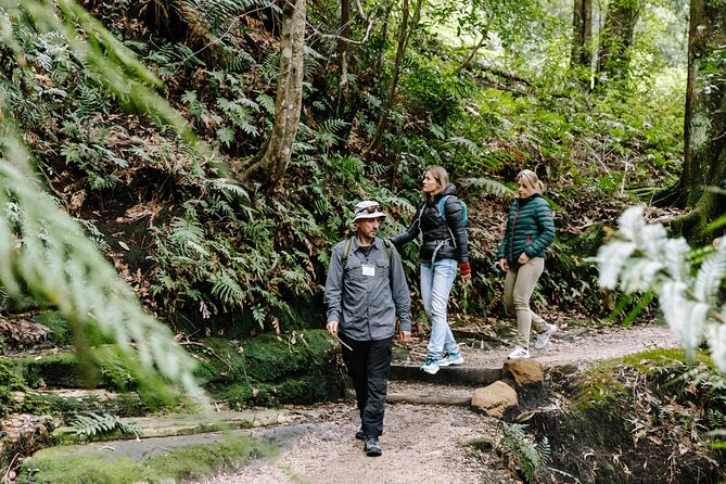 Sydney Blue Mountains Day Tour with Wildlife Park and Waterfalls - Lincoln’s Rock and the Jamison Valley