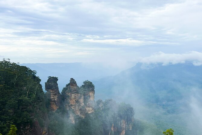 Sydney Blue Mountains Day Tour with Wildlife Park and Waterfalls - What the transport and guide service are like