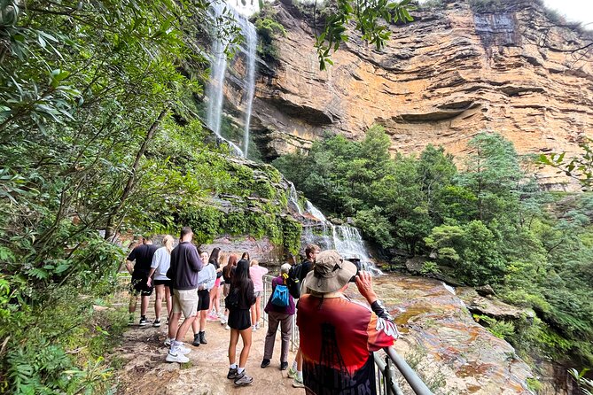 Sydney Blue Mountains Day Tour with Wildlife Park and Waterfalls - Featherdale Wildlife Park: a strong opening stop