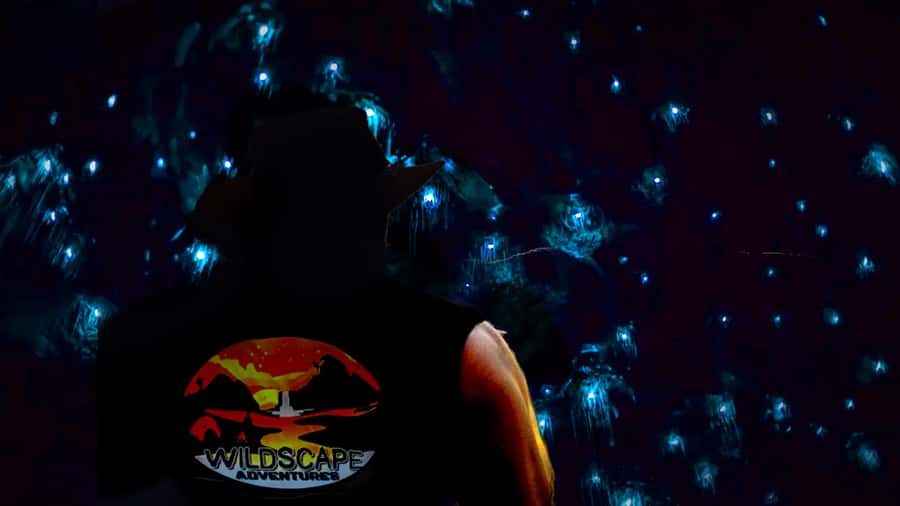Sydney: Blue Mountains Glow Worms Wild Adventure by Night - Key points to know before booking
