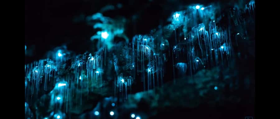 Sydney: Blue Mountains Glow Worms Wild Adventure by Night - Walking down to the waterfall cave