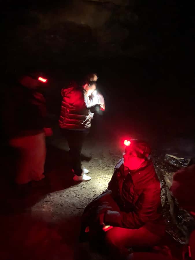 Sydney: Blue Mountains Glow Worms Wild Adventure by Night - What the five-hour schedule really offers