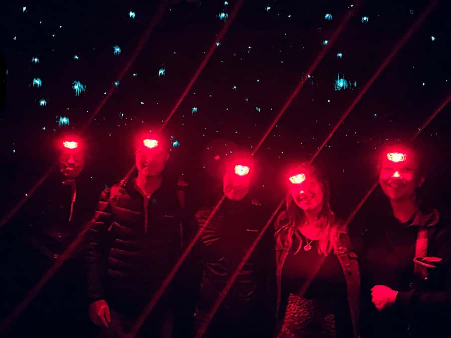Sydney: Blue Mountains Glow Worms Wild Adventure by Night - Should you book the glow worm night adventure?