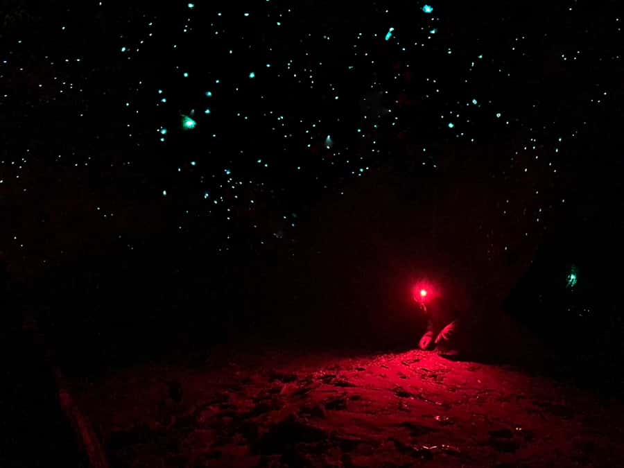 Sydney: Blue Mountains Glow Worms Wild Adventure by Night - Getting ready for a night in the bush